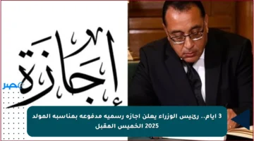 3 أيام.. رئيس الوزراء يعلن إجازة رسمية مدفوعة بمناسبة المولد 2025 الخميس المقبل